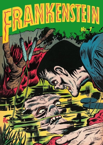 Frankenstein 7